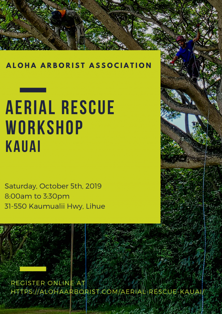Aerial Rescue Kauai Aloha Arborist Association