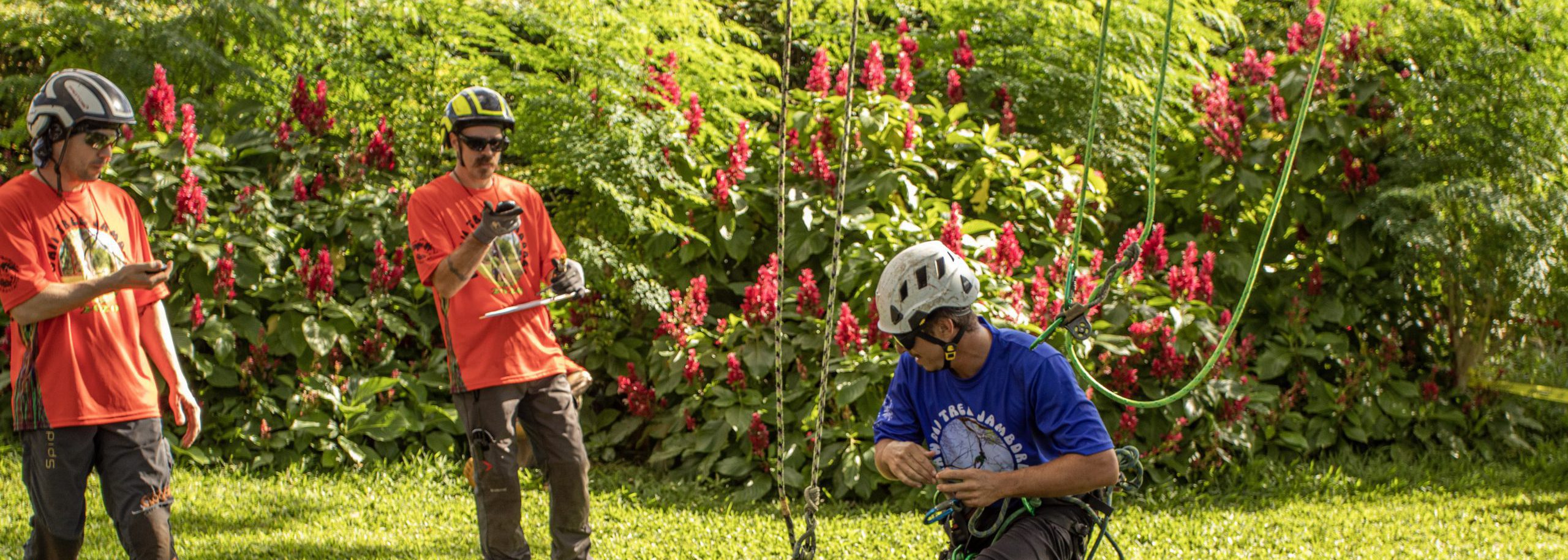 5th Annual Hawaii Tree Jamboree, 2021, Oahu Aloha Arborist Association